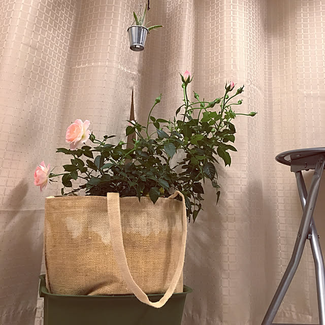 somebodyさんの実例写真
