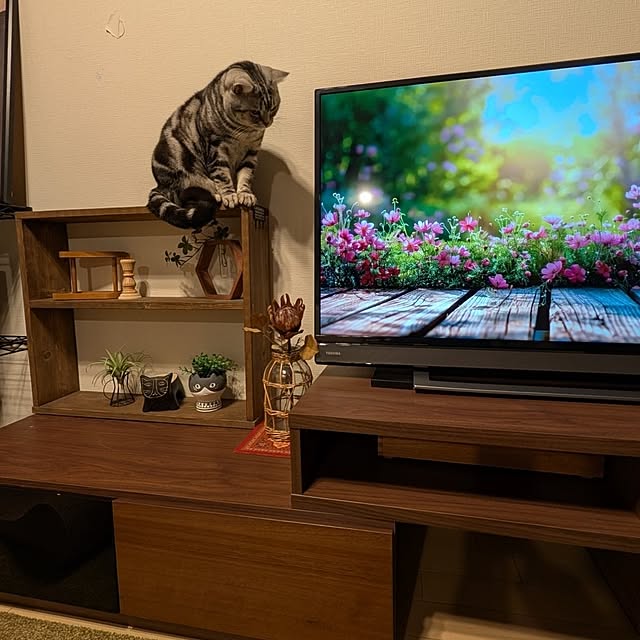 lovepeaceさんの部屋