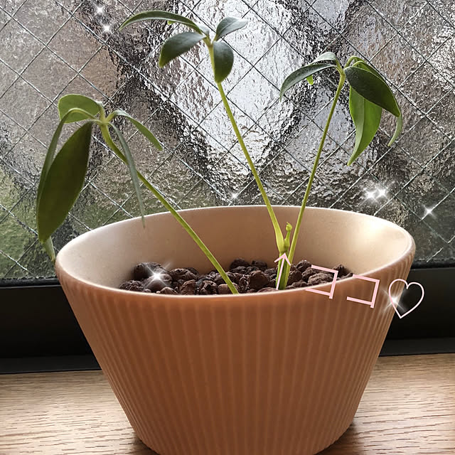 katoponさんの部屋