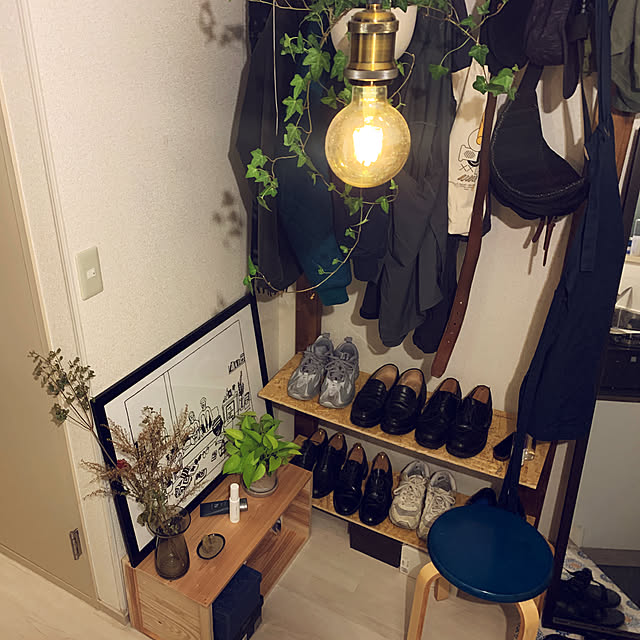 一人暮らし/多肉植物/ドライフラワー/リノベーション/観葉植物...などのインテリア実例 - 2020-10-13 21:45:59