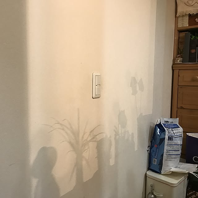 gemigemiさんの実例写真