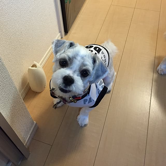 emiさんの実例写真