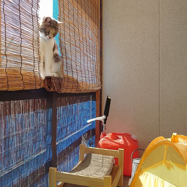 fukuさんの実例写真