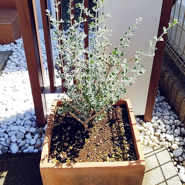 tomoさんの部屋