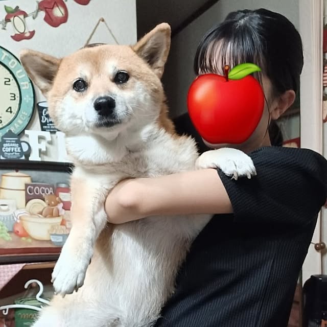 nanaさんの部屋