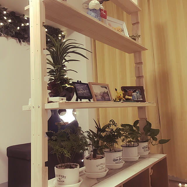 Chitさんの実例写真