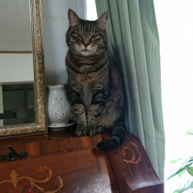 Ayuさんの実例写真