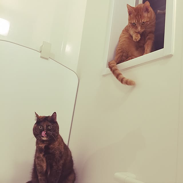 yufullfullさんの実例写真