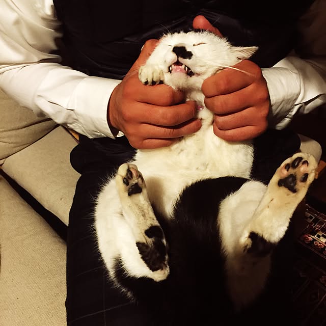 PEさんの実例写真