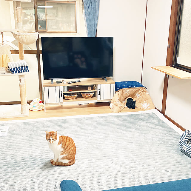 部屋全体のインテリア実例 - 2022-01-23 21:28:02