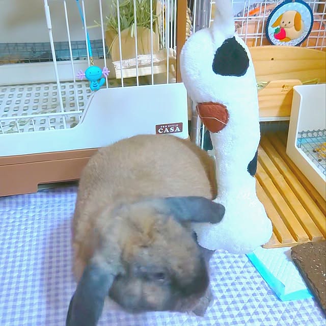 mariaさんの部屋