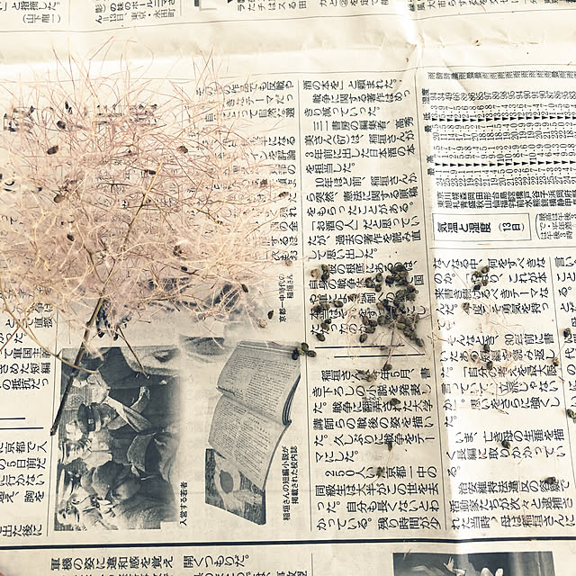 hoshimamaさんの実例写真