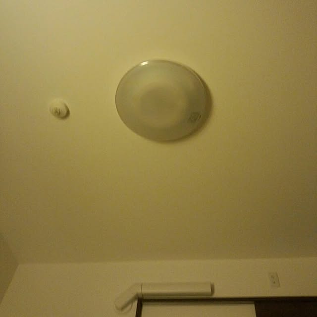 ariさんの実例写真