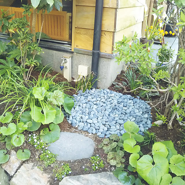 eriponさんの実例写真
