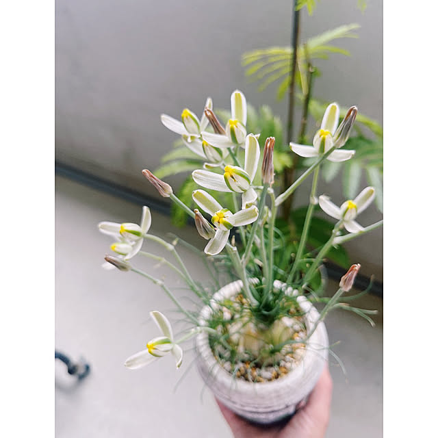 w_end_0625さんの実例写真