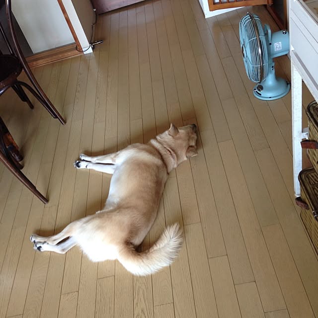 leonaさんの実例写真