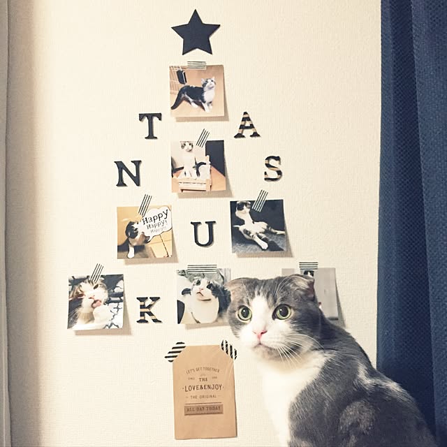 tansukeさんの実例写真