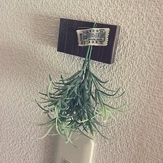 mituさんの実例写真