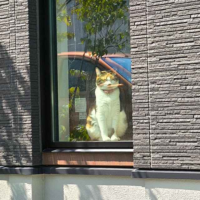 Misakiさんの部屋