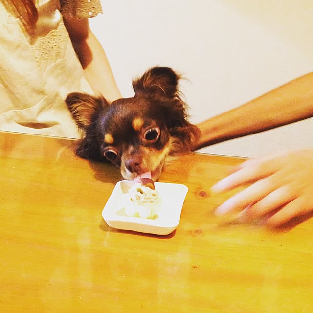 cookie_houseさんの実例写真