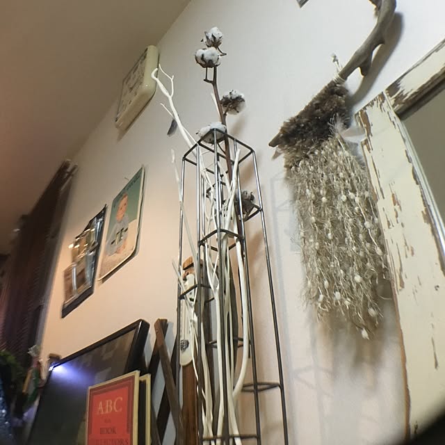 tetra163さんの実例写真