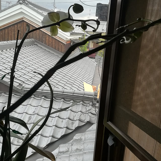 coco1204さんの実例写真