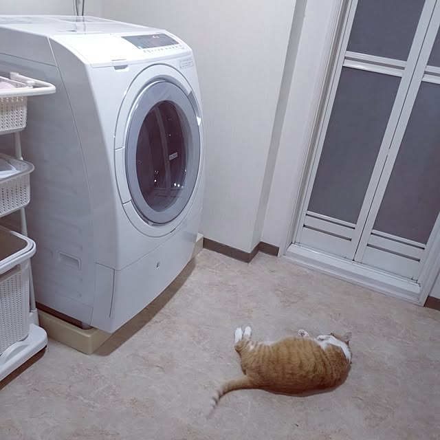 NOAHさんの部屋