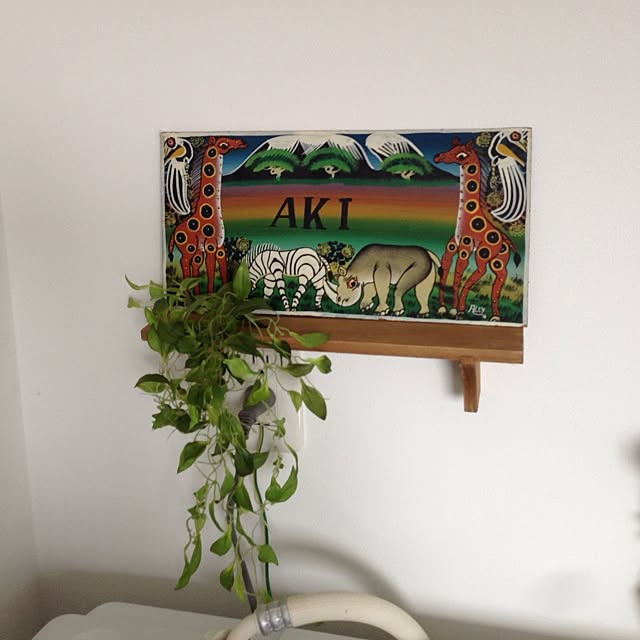 Akiさんの実例写真
