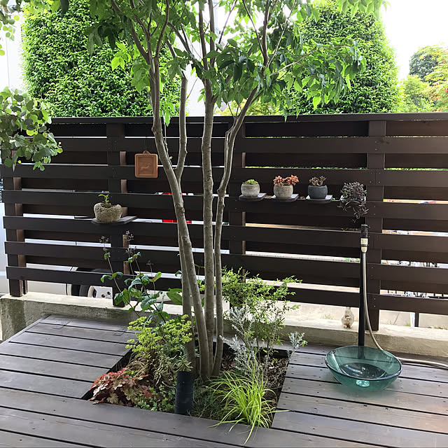 Taroさんの実例写真