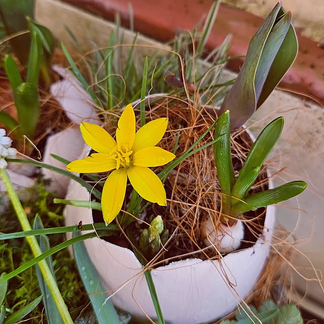 mocomocoさんの部屋