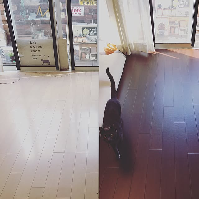 kodakusan.sakiさんの実例写真