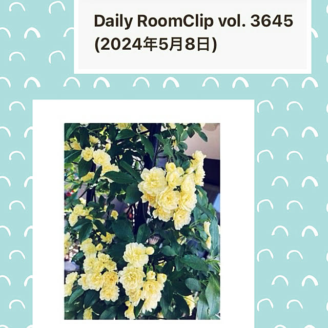 CoCo0617さんの実例写真
