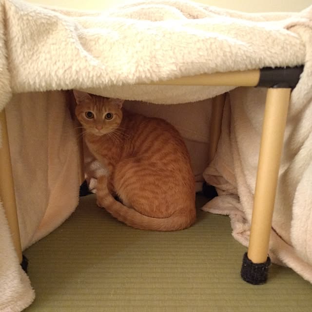 mayutan.さんの部屋