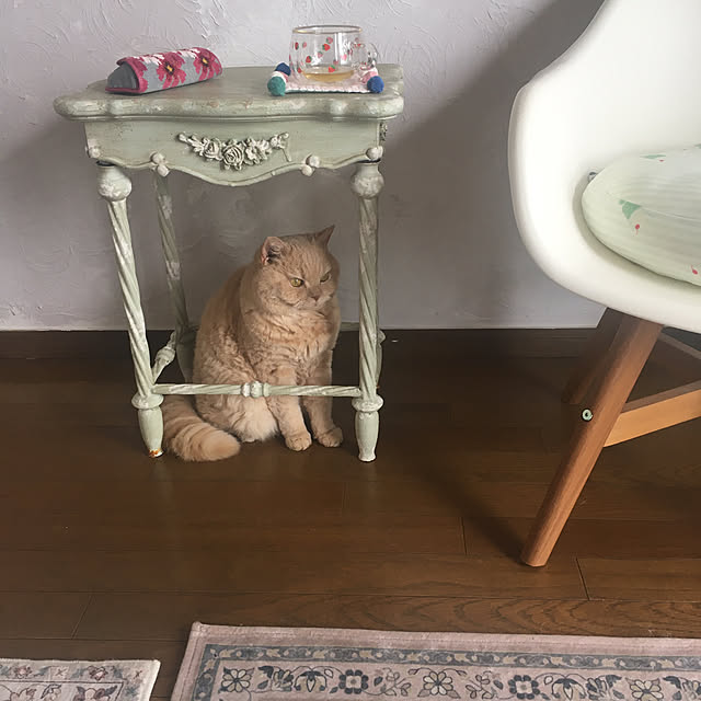 naokoさんの実例写真