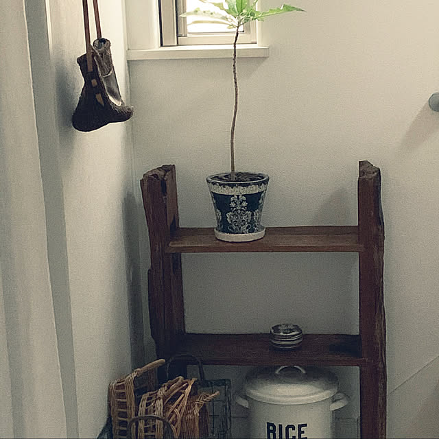 r_marcheさんの実例写真