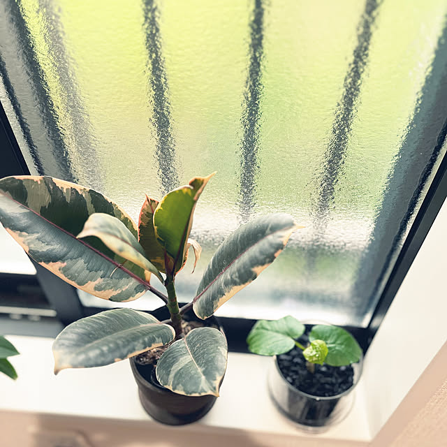 nachiさんの部屋
