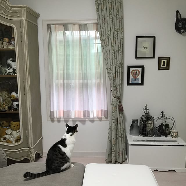 yuchiさんの実例写真