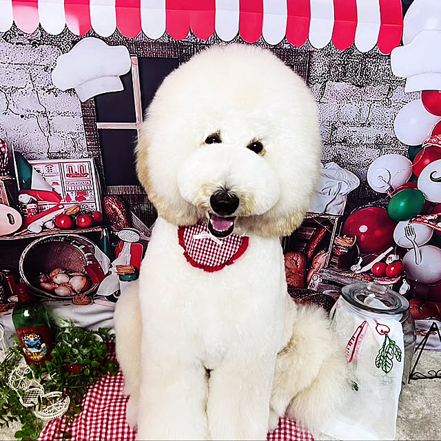 nackeyさんの実例写真