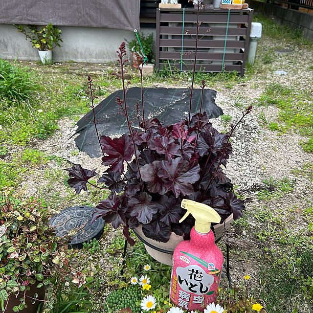 ritsukoさんの部屋