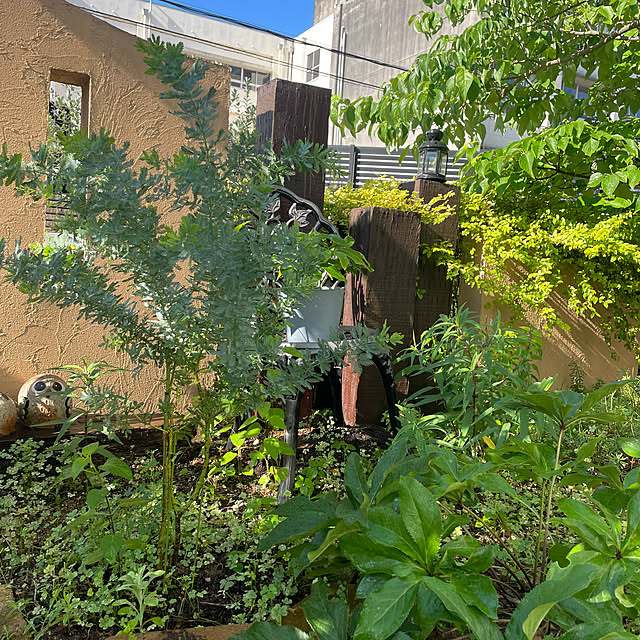 kuikoさんの部屋