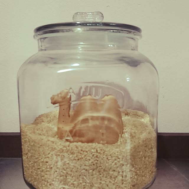 nonoさんの実例写真