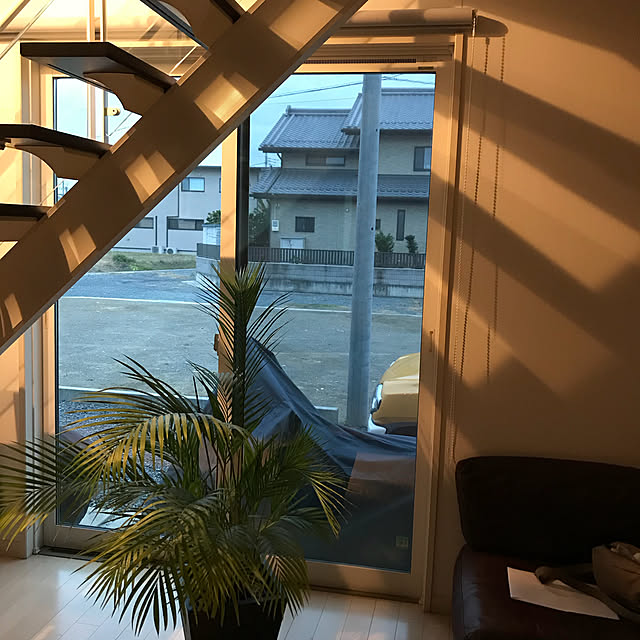 rolさんの実例写真