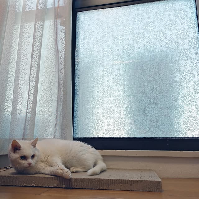NOAHさんの部屋