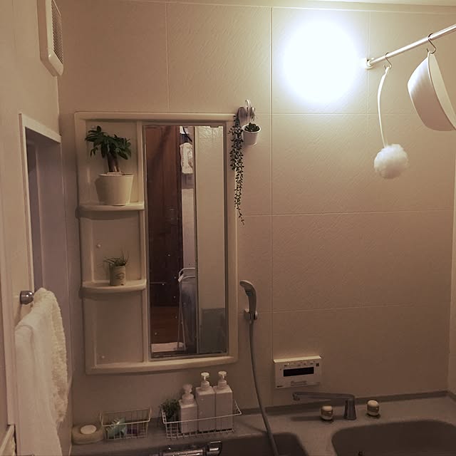 pero1pan5さんの実例写真