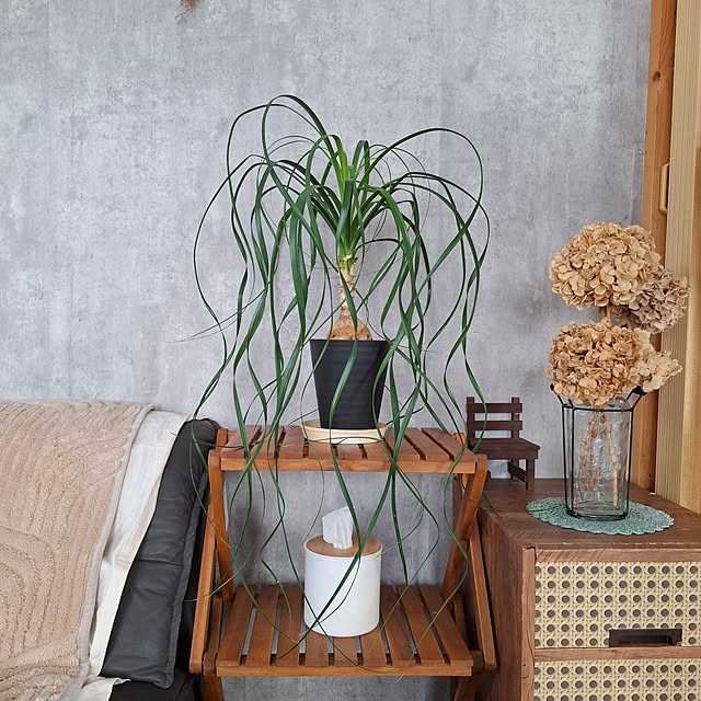 midoriさんの部屋