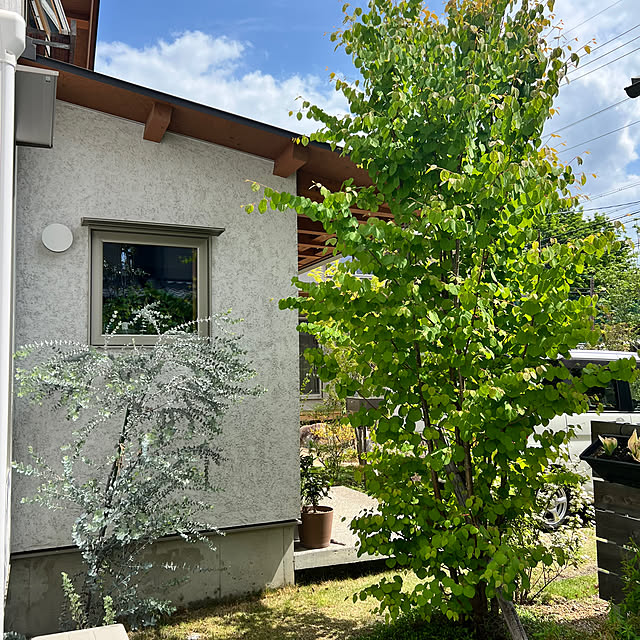 fxs-rrさんの実例写真