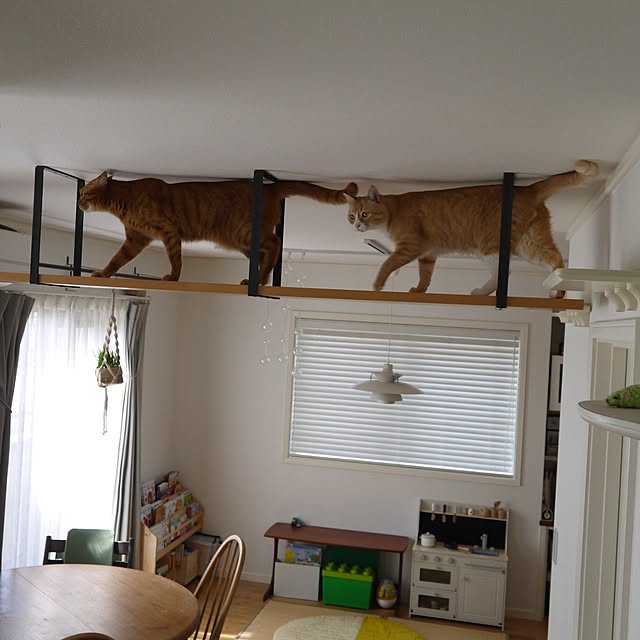 poteさんの部屋