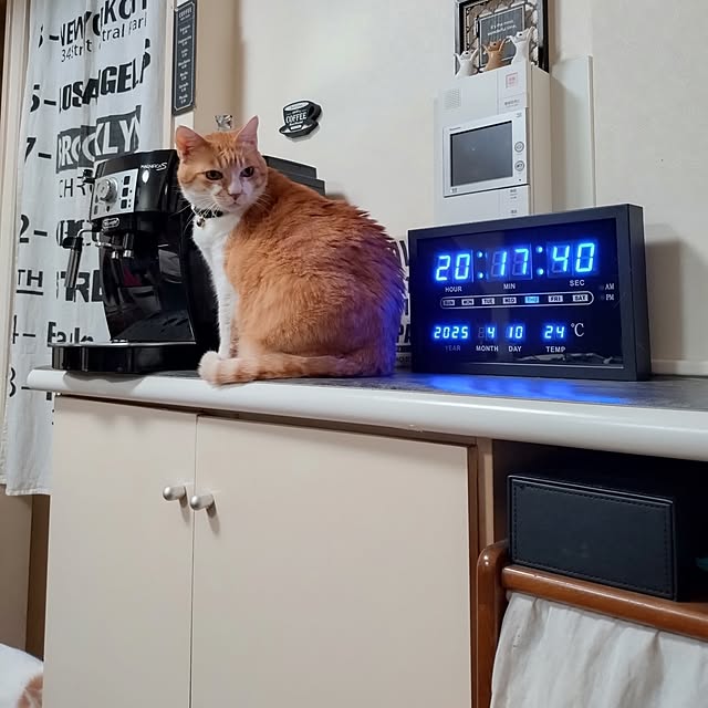 NOAHさんの部屋