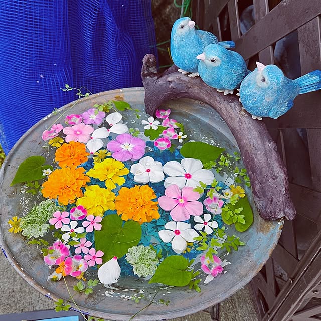 mocomocoさんの実例写真