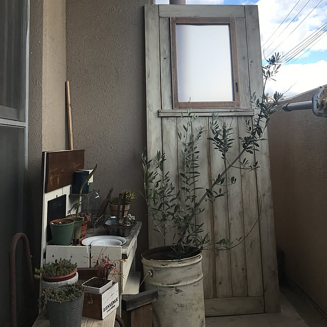 haruさんの実例写真